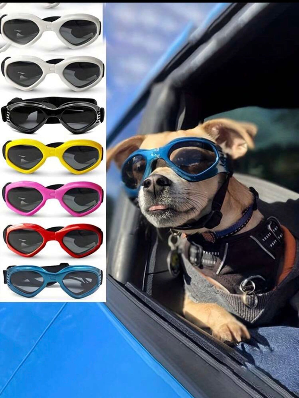 Gafas de sol