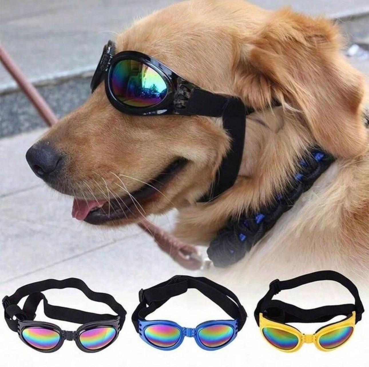 Gafas de sol
