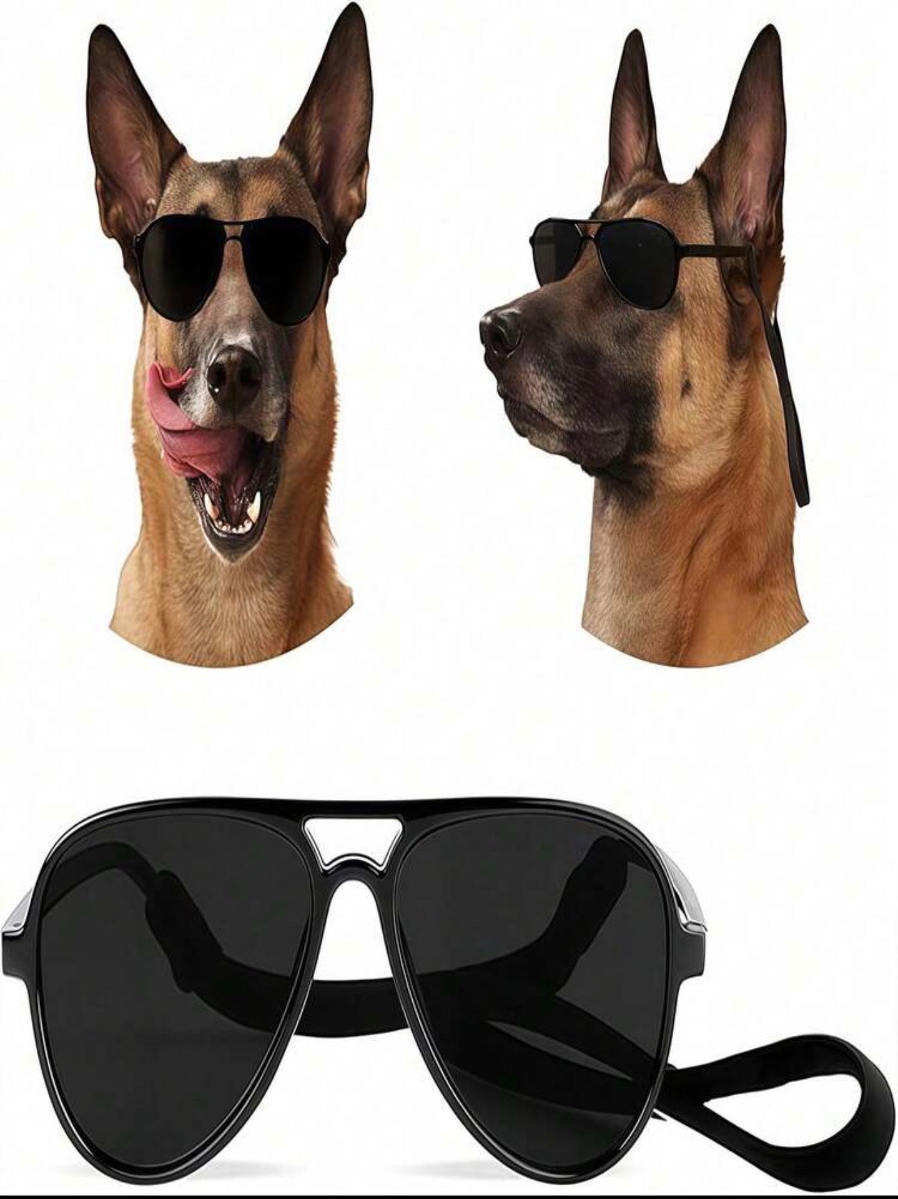 Gafas de sol